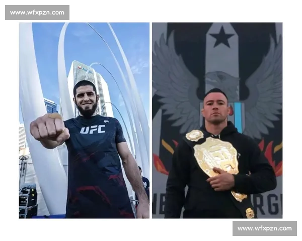 UFC温顿VS锤子巅峰对决力量技术与意志的终极较量八角笼历史性一战